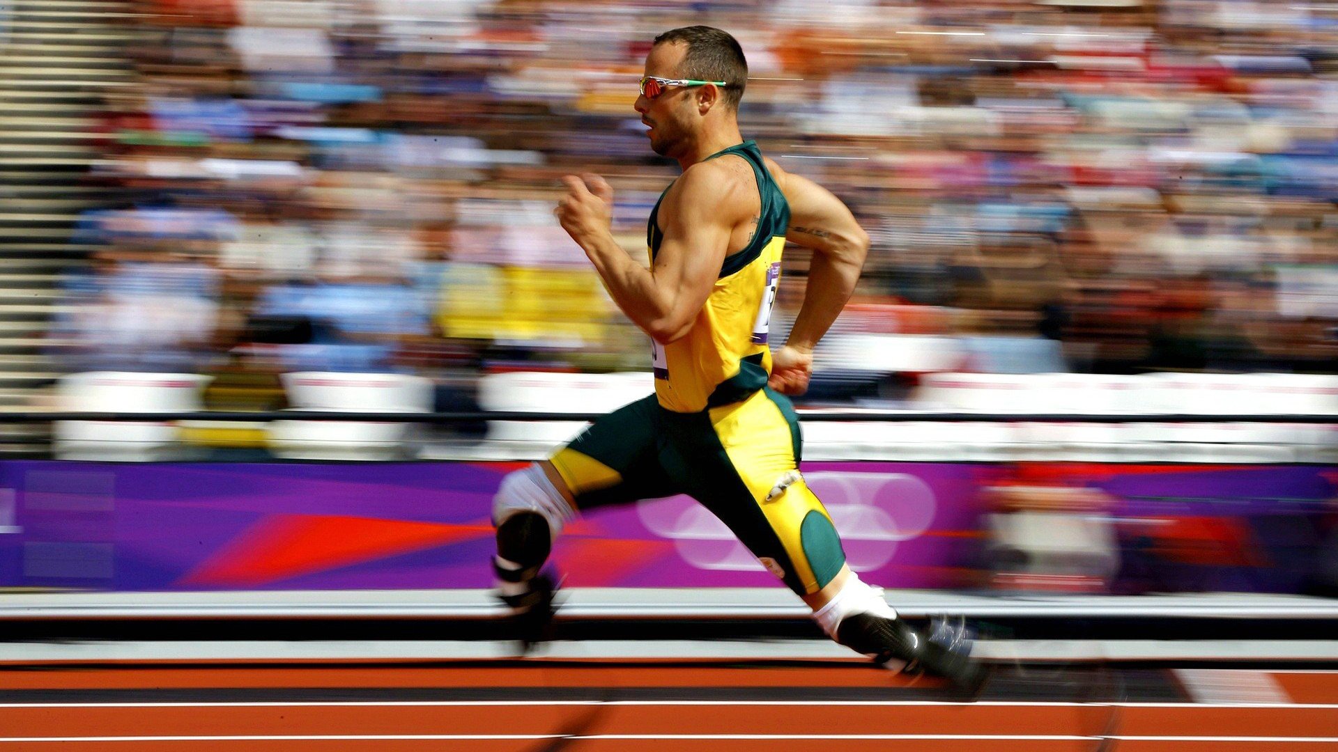 领先优势明显首场状态出色，塞尔维亚队观众沸腾！，科维托娃重返赛场再创辉煌时刻